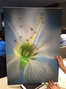 Convenció de Konica Minolta