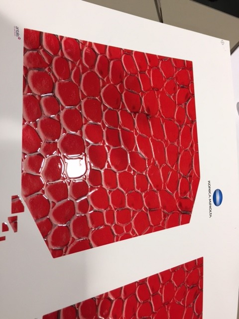 Convenció Konica Minolta 2015